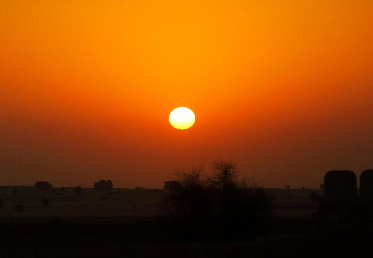 Sunrise Desert Resort With Swimming Pool Jaisalmer Bagian luar foto